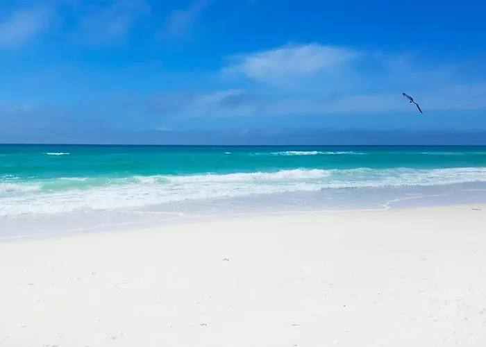 Laguna Beach Breeze